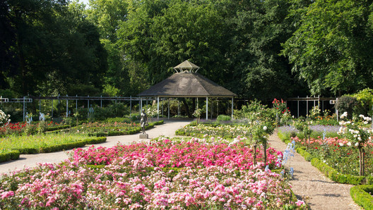  Rosengarten in Rheda, NRW