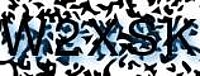 grafischer Sicherheitscode