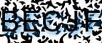 grafischer Sicherheitscode
