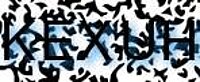 grafischer Sicherheitscode