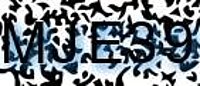 grafischer Sicherheitscode