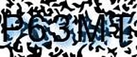 grafischer Sicherheitscode