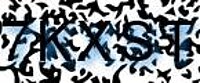 grafischer Sicherheitscode