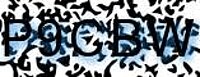 grafischer Sicherheitscode