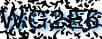 grafischer Sicherheitscode