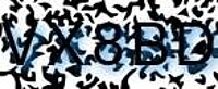 grafischer Sicherheitscode