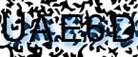 grafischer Sicherheitscode