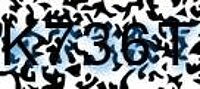 grafischer Sicherheitscode