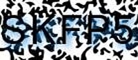grafischer Sicherheitscode