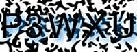 grafischer Sicherheitscode