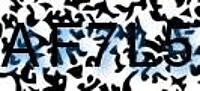 grafischer Sicherheitscode