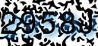 grafischer Sicherheitscode