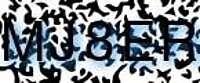 grafischer Sicherheitscode