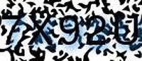 grafischer Sicherheitscode