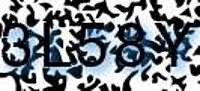 grafischer Sicherheitscode