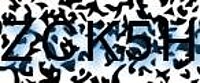 grafischer Sicherheitscode